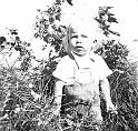 OE 40 C